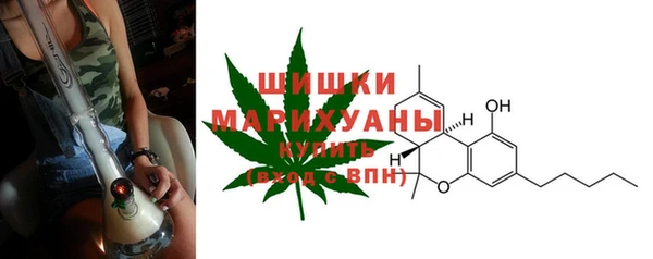 молекула духа Белоозёрский