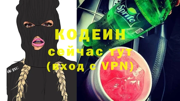 стаф Бородино